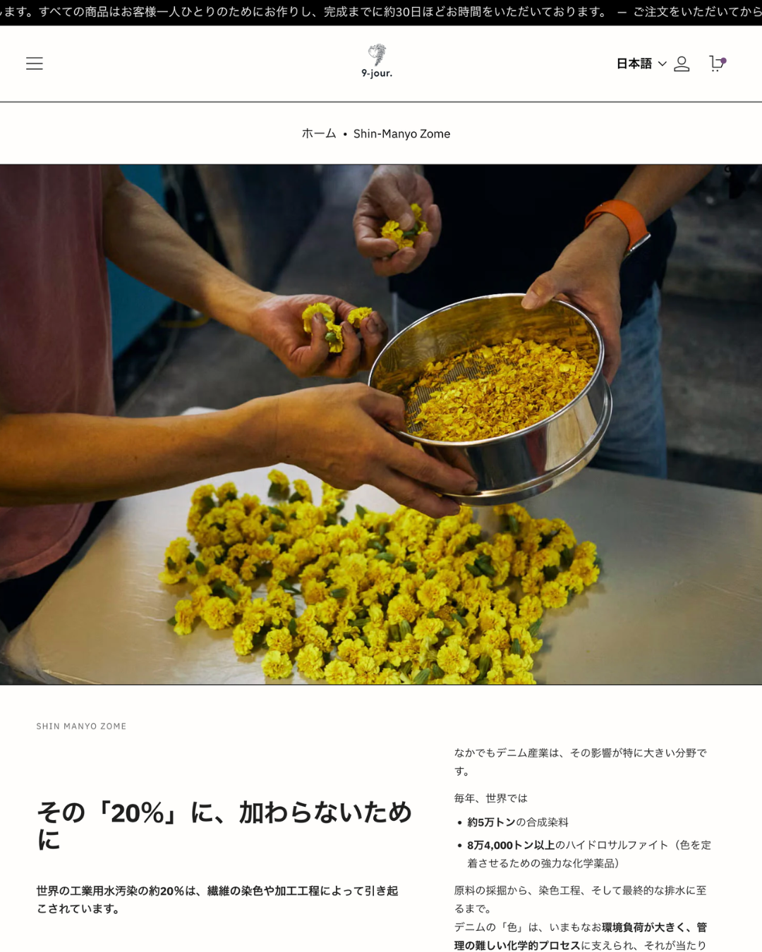 9-Jour Paris snapshots